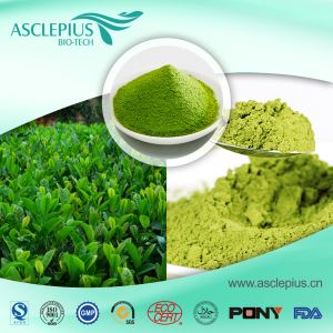 Dobavljač organskog zelenog čaja Matcha u prahu Matcha instant čaj na veliko