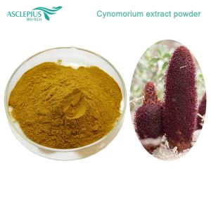 Cynomorium Songaricum Extract 10:1 u prahu